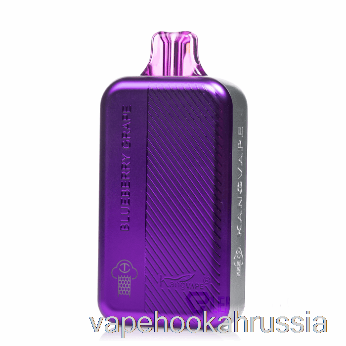 вейп-сок Kangvape Tc8000 одноразовый с черникой и виноградом